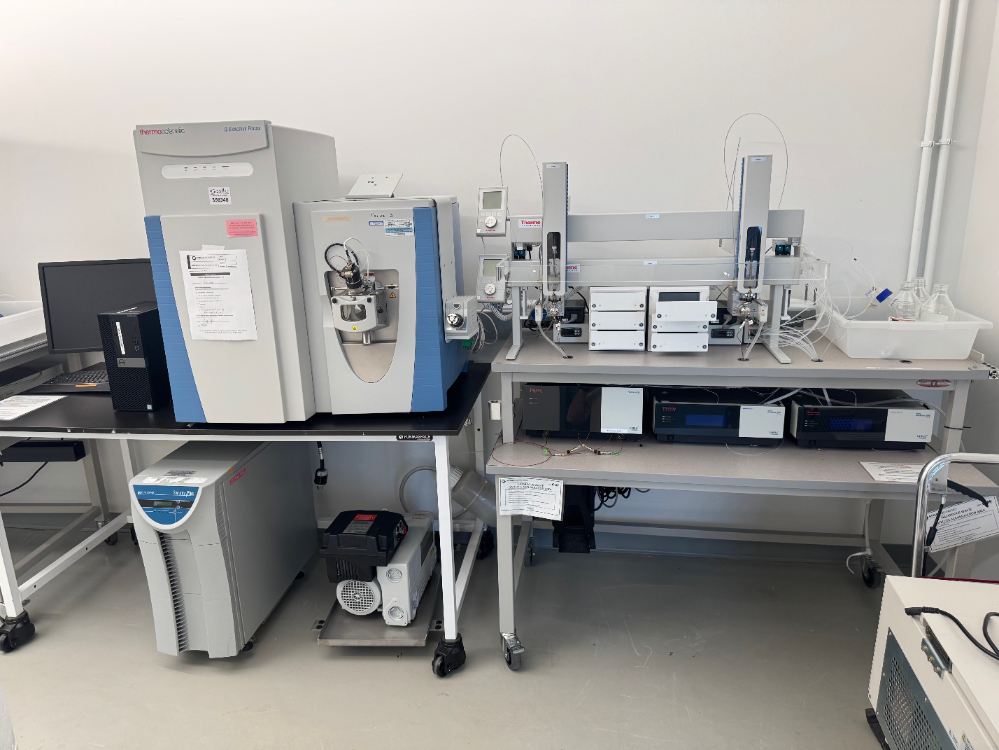 Image of Thermo Q Exactive Focus LC/MS System